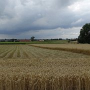 DSC00139