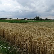 DSC00141