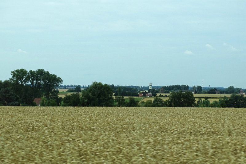 DSC00212