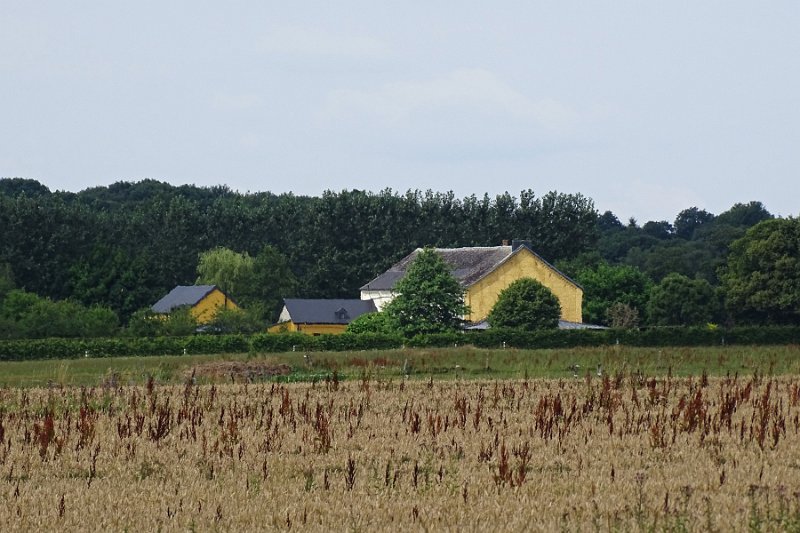 DSC00248
