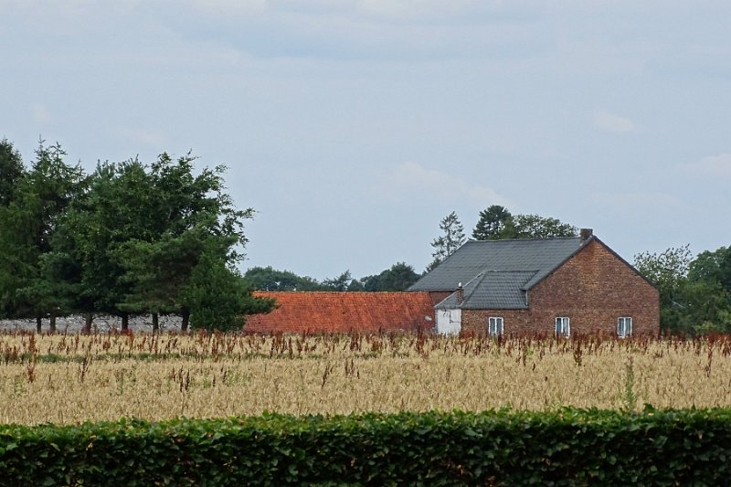 DSC00249