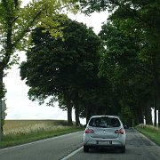 DSC00213