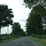 DSC00215