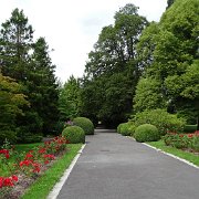 DSC00228