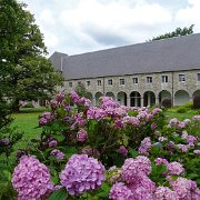 DSC00229