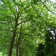 DSC00243
