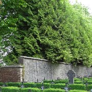 DSC00246