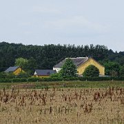 DSC00248