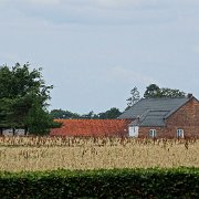 DSC00249