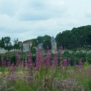 DSC00256
