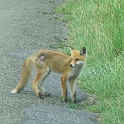 DSC00307
