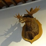 DSC00315
