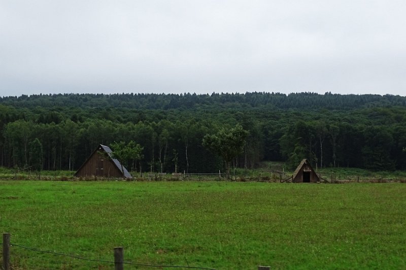 DSC00387