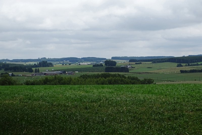 DSC00484