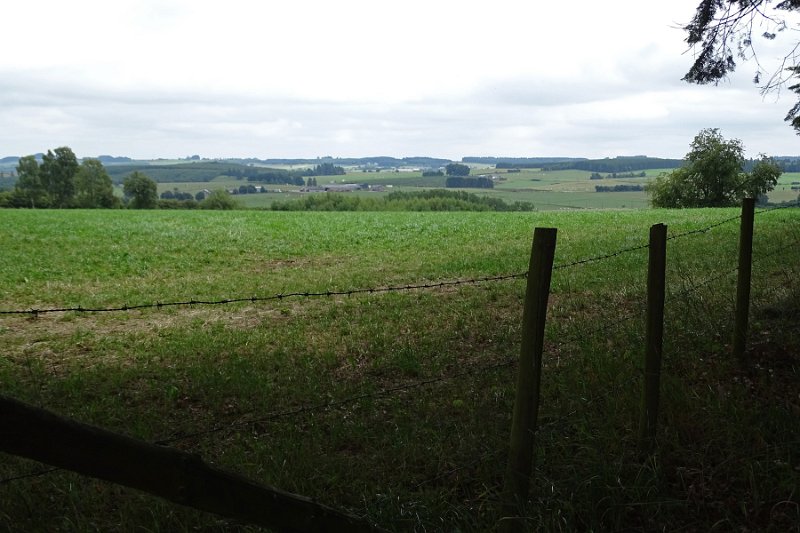 DSC00485