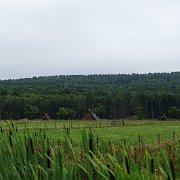 DSC00386