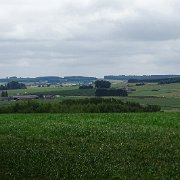 DSC00484