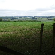 DSC00485