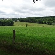 DSC00494