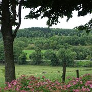 DSC00503