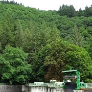 DSC00526