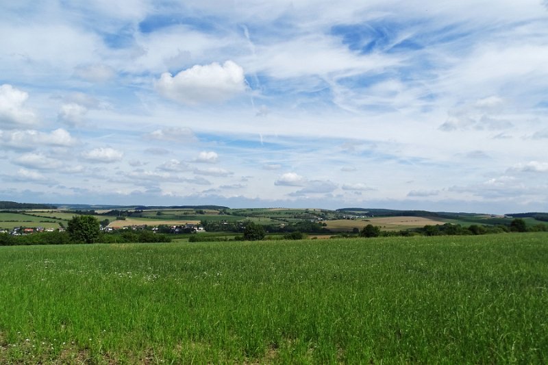 DSC00681