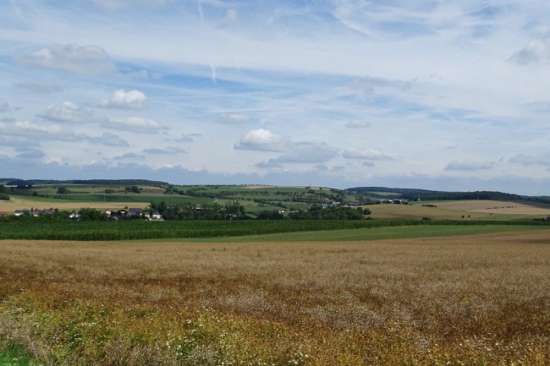 DSC00682