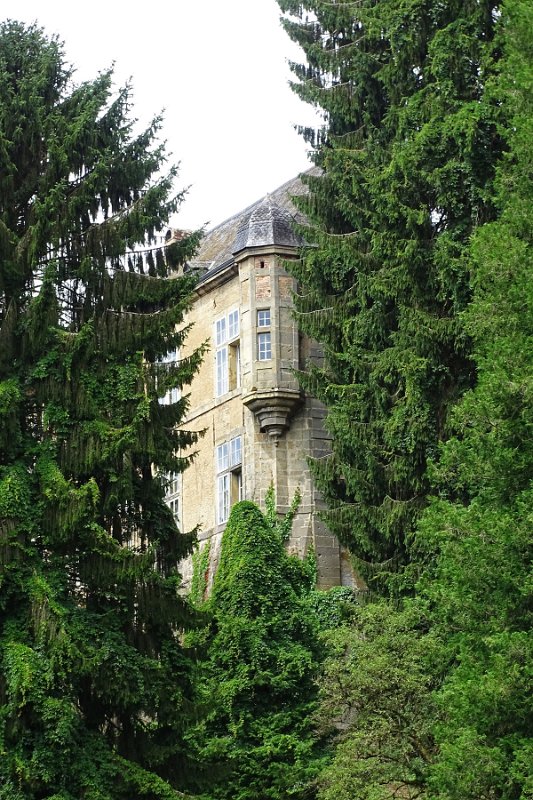 DSC00715