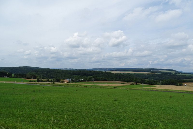DSC00718