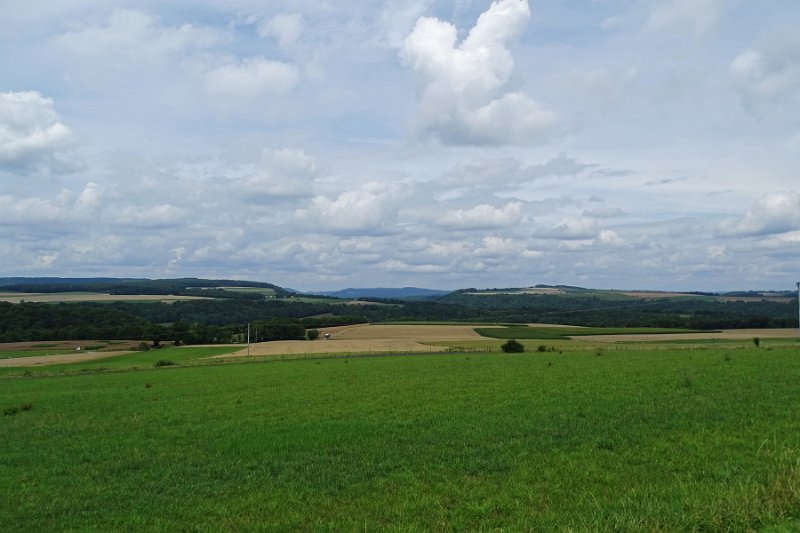 DSC00719