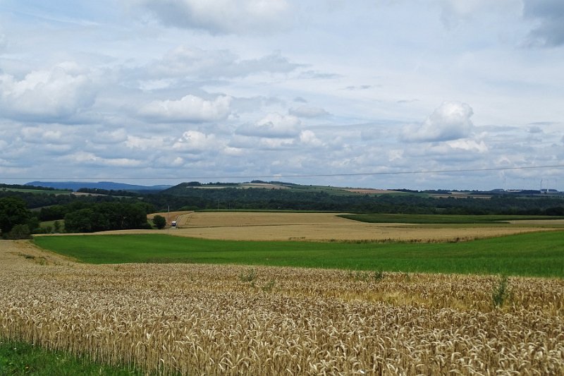 DSC00721