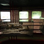 DSC00761