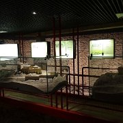 DSC00762
