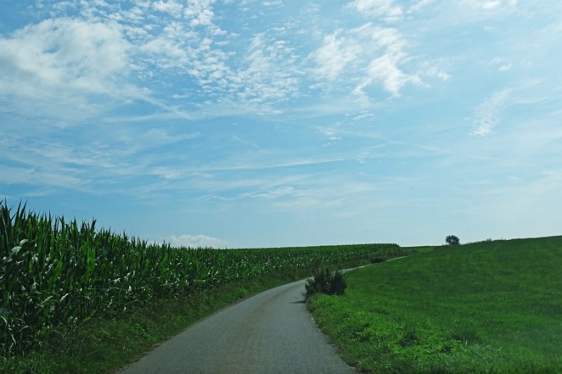 DSC00875