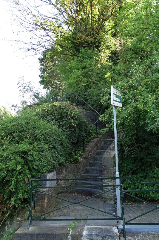 DSC01000