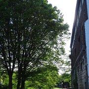 DSC00999