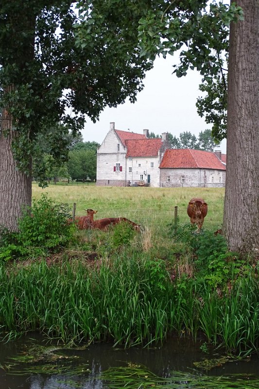 DSC01191