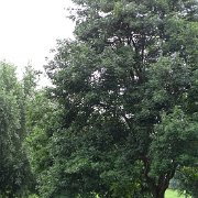 DSC01123