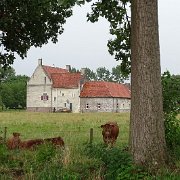 DSC01195