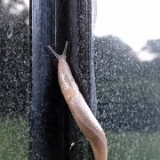 DSC01213