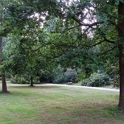 DSC01216