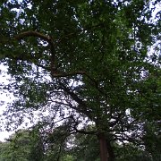 DSC01217