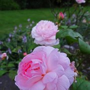 DSC01219