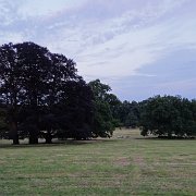 DSC01227