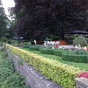 DSC01228
