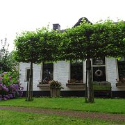 DSC01262