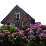 DSC01272