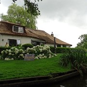 DSC01303