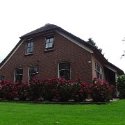 DSC01304
