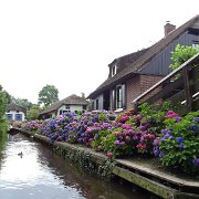 DSC01310